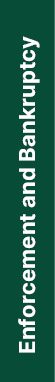 Enforcement and Bankruptcy