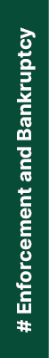 # Enforcement and Bankruptcy