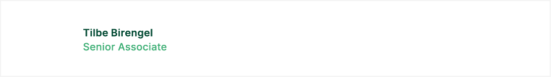 Tilbe Birengel Senior Associate