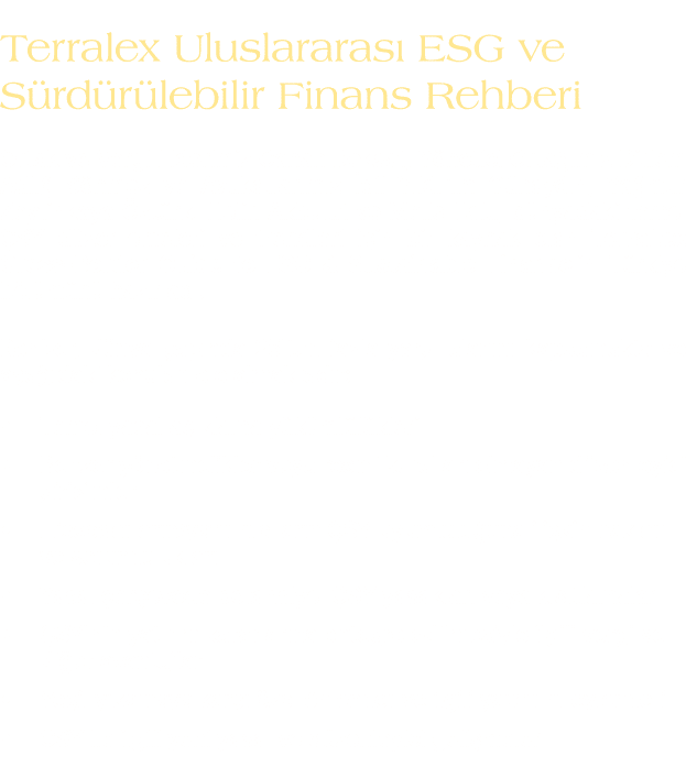 Terralex Uluslararas ESG ve S rd r lebilir Finans Rehberi Ortak ve Vergi Liderimiz Canan Doksat, Y netici Orta  m z ...