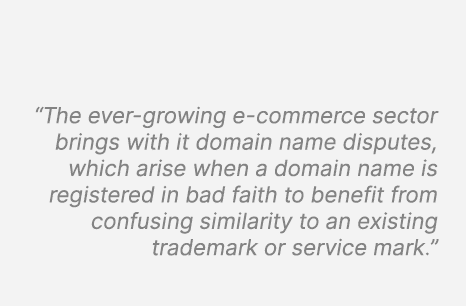 “The ever growing e commerce sector brings with it domain name disputes, which arise when a domain name is registered...