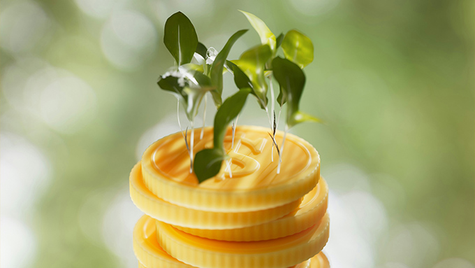 Bankaların Yeşil Varlık Oranı Hesaplaması Hakkında Tebliğ