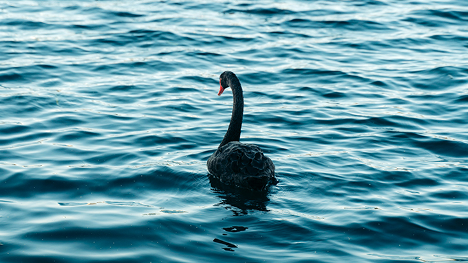 ÇSY (ESG) Bülteni 2025 2. Çeyrek