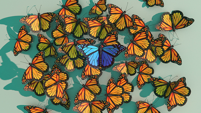 Son Dönem Yargıtay Kararları Işığında Kamu Düzeni